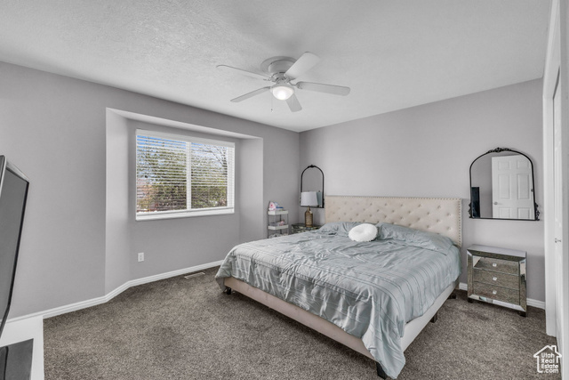 Photo 10 for MLS #2077412 at 11873 S Coles Camp Cir