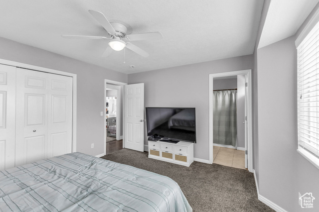 Photo 11 for MLS #2077412 at 11873 S Coles Camp Cir