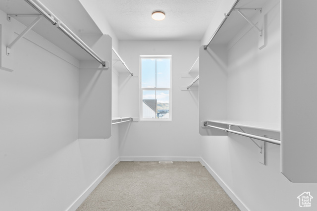 Photo 19 for MLS #2077958 at 6722 W Broad Stem Way