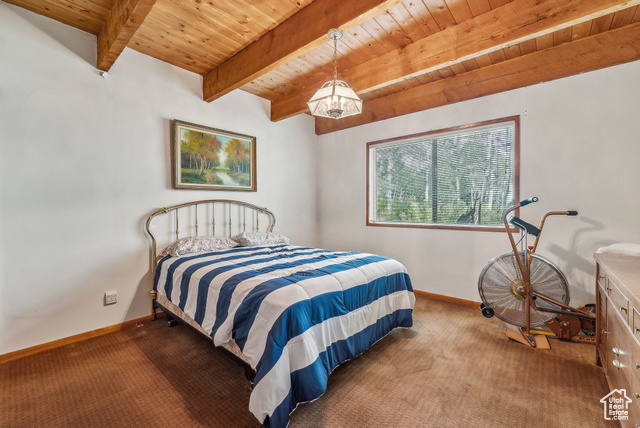 Photo 21 for MLS #2077972 at 5443 Fremont Trl