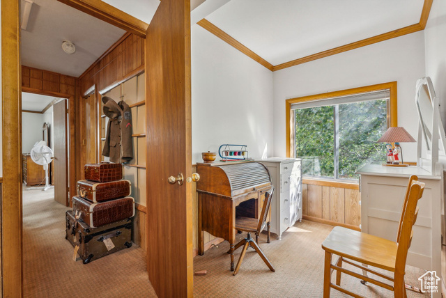 Photo 32 for MLS #2077972 at 5443 Fremont Trl
