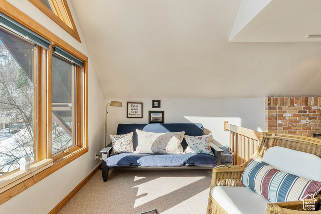Photo 32 for MLS #2078047 at 2480 Snake Creek Rd