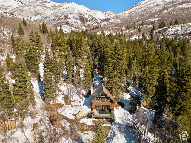 Photo 41 for MLS #2078047 at 2480 Snake Creek Rd