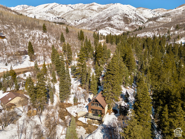 Photo 43 for MLS #2078047 at 2480 Snake Creek Rd