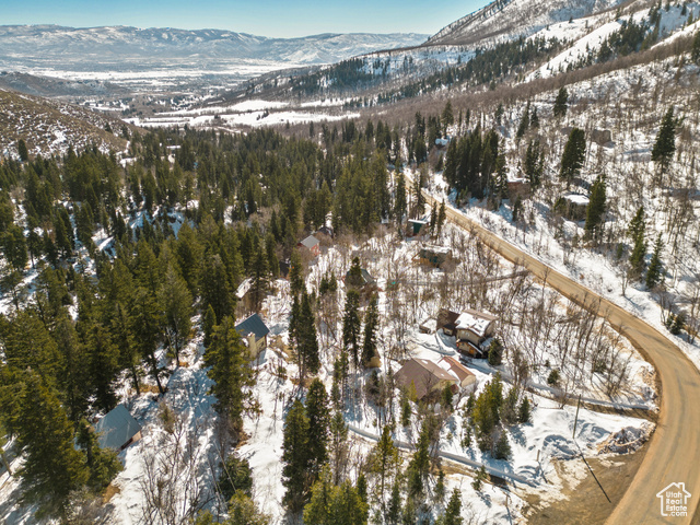 Photo 45 for MLS #2078047 at 2480 Snake Creek Rd