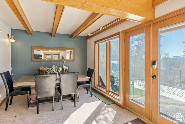 Photo 51 for MLS #2078047 at 2480 Snake Creek Rd