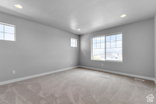 Photo 17 for MLS #2078058 at 12997 S Broad Stem Way