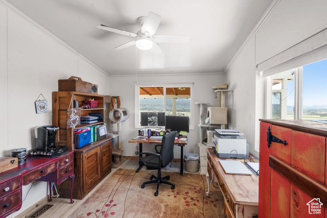 Photo 18 for MLS #2078150 at 706 E Cottontail Rd