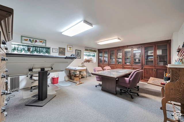 Photo 22 for MLS #2078281 at 1481 W Midas Creek Dr