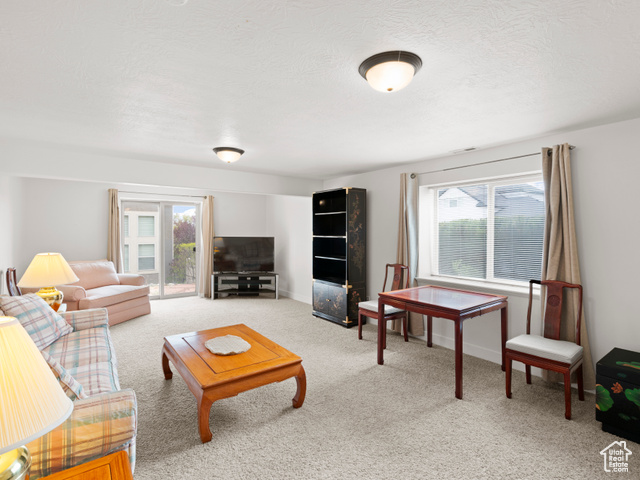 Photo 21 for MLS #2078496 at 14757 S Quiet Glen Dr