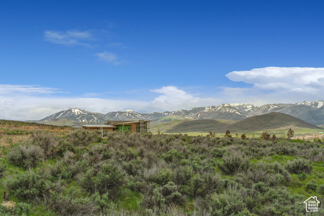 Photo 4 for MLS #2078533 at 6877 White Dove Way