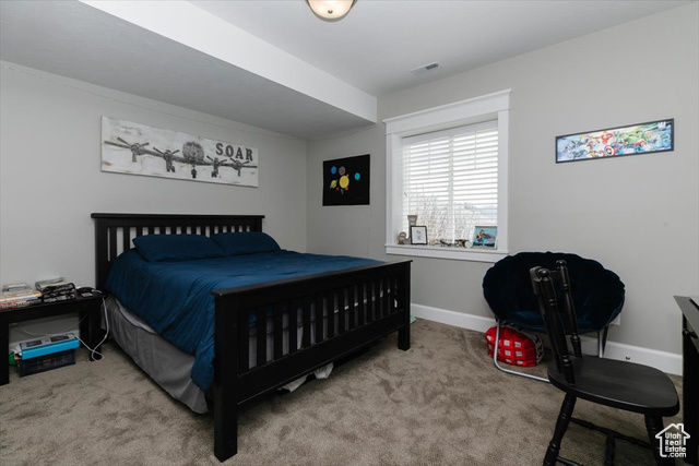 Photo 56 for MLS #2078641 at 535 N Pheasant Hollow Ln