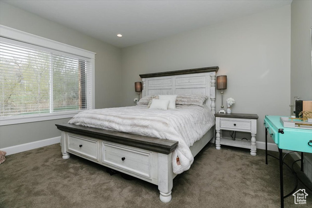 Photo 40 for MLS #2078641 at 535 N Pheasant Hollow Ln