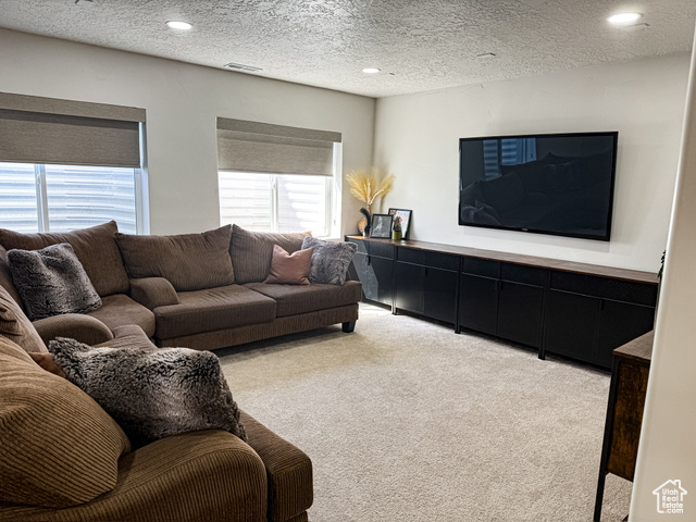 Photo 39 for MLS #2078861 at 244 E Dry Mountain Rd