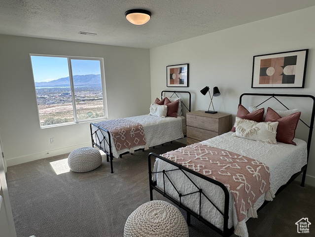 Photo 13 for MLS #2078939 at 1005 W Mountain Hollow Way #315