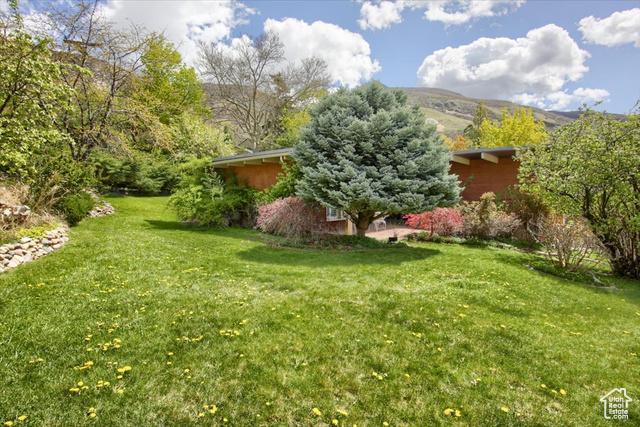 Photo 31 for MLS #2079561 at 3520 Kingston Cir