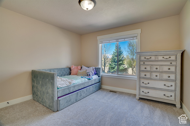 Photo 29 for MLS #2079893 at 2520 S 260 East