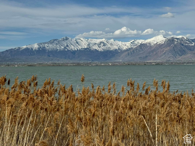 Photo 43 for MLS #2079996 at 2948 S Puddle Ln