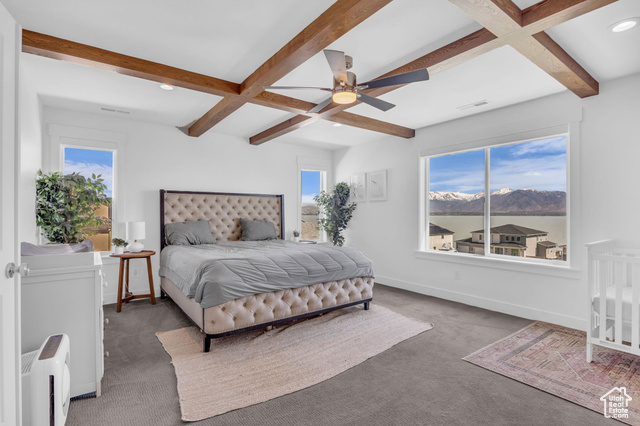 Photo 22 for MLS #2079996 at 2948 S Puddle Ln