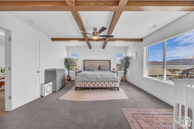 Photo 21 for MLS #2079996 at 2948 S Puddle Ln