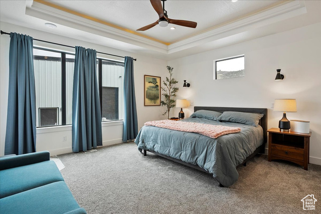 Photo 38 for MLS #2080009 at 655 Wilard Peak Rd
