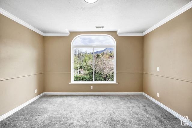 Photo 40 for MLS #2080304 at 1910 E Canyon Ridge Drive