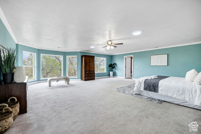 Photo 30 for MLS #2080304 at 1910 E Canyon Ridge Drive