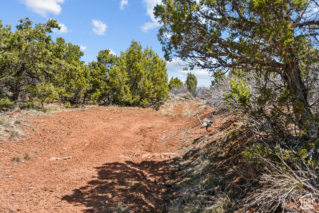 Photo 82 for MLS #2080706 at 46997 W Thunder Ridge Rd