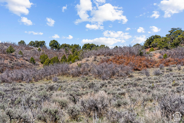 Photo 66 for MLS #2080706 at 46997 W Thunder Ridge Rd