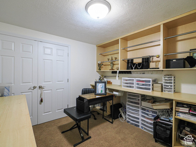 Photo 61 for MLS #2080726 at 4545 S Abinadi Rd