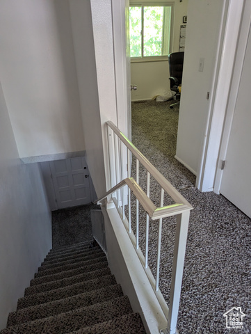 Photo 13 for MLS #2080739 at 3937 S Lamplighter Way #23