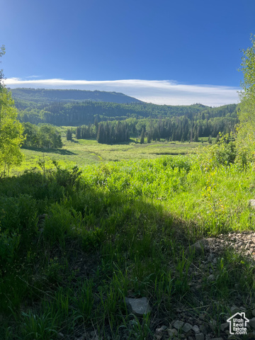 Photo 48 for MLS #2080905 at 4460 Fawn Way #2039