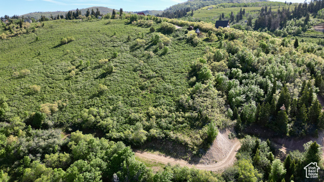 23206 N 14136 E, Fairview UT 84629