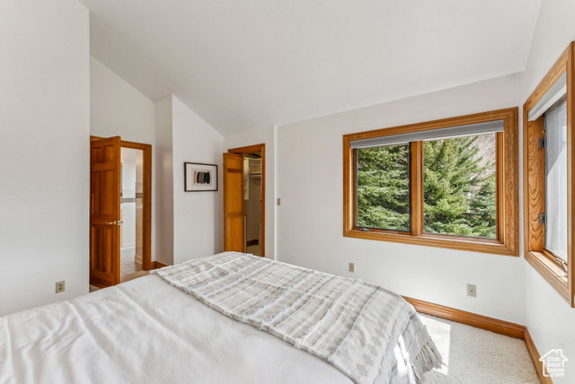 Photo 47 for MLS #2080965 at 2685 Daystar Cir