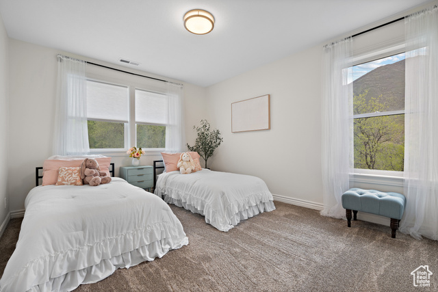 Photo 29 for MLS #2080974 at 3841 E Grindstone Dr
