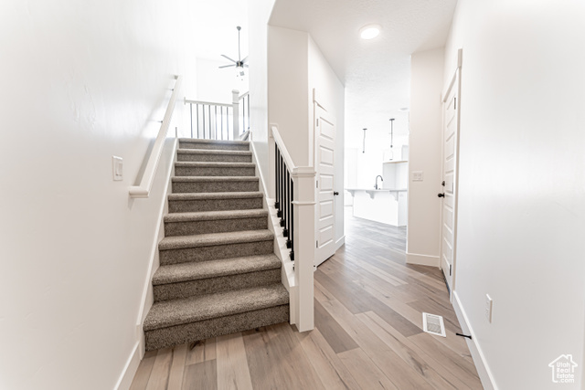 Photo 2 for MLS #2080986 at 613 W Purple Velvet Ln #2318