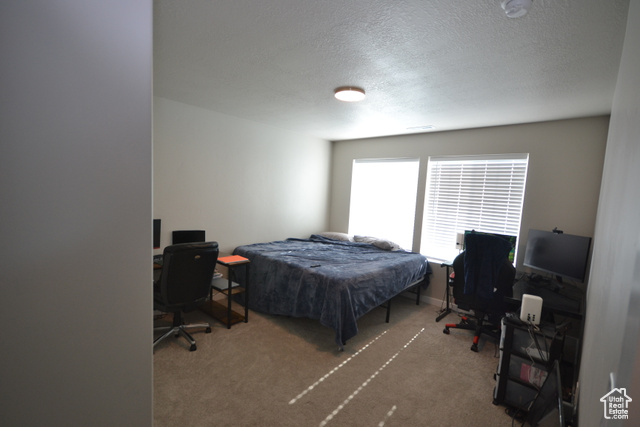 Photo 15 for MLS #2080992 at 5745 N Gray Hawk Dr