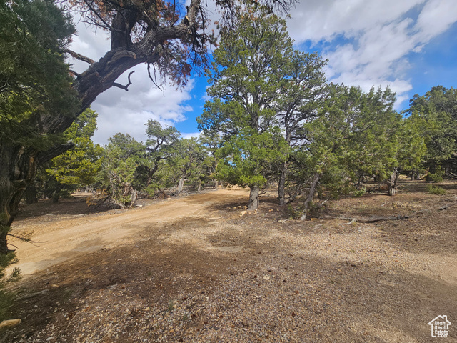 Photo 66 for MLS #2081194 at 33383 W 8000 South