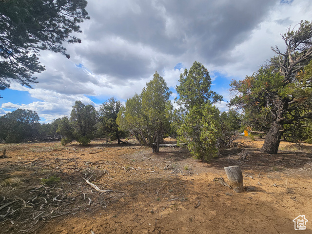 Photo 63 for MLS #2081194 at 33383 W 8000 South