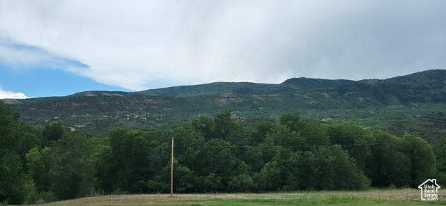 11  MT TABBY DR, Tabiona UT 84072