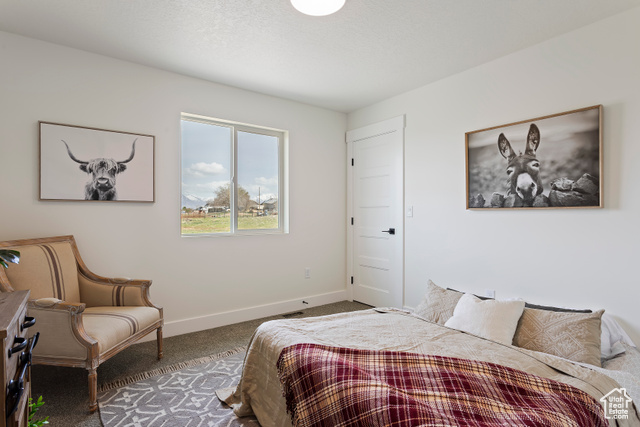 Photo 24 for MLS #2081249 at 3238 S 4950 West