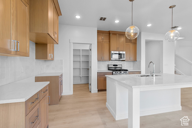696 N 600 W #105, Tremonton UT 84337