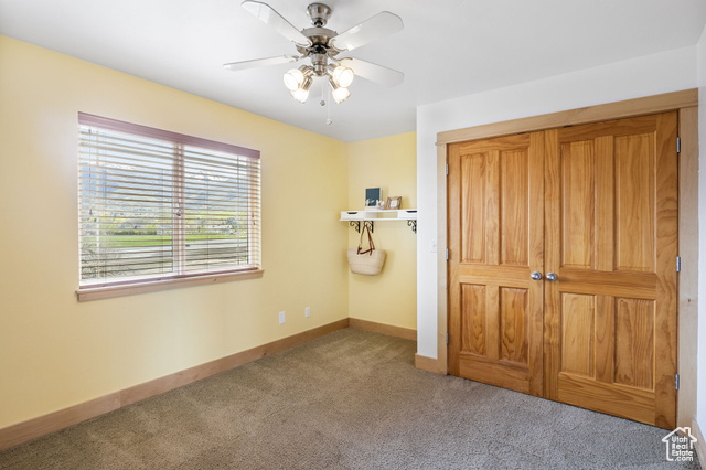 Photo 33 for MLS #2081970 at 933 N Swiss Farm Ct