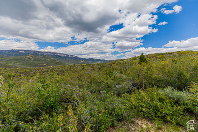 Photo 19 for MLS #2082419 at 2185 Crestridge Rd  #51
