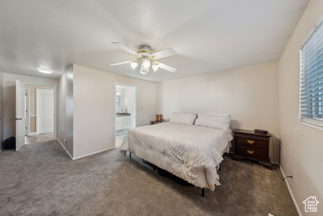 Photo 22 for MLS #2082471 at 518 E Wendy Way