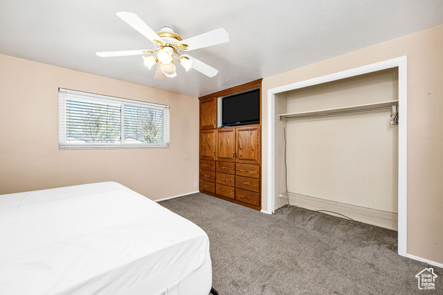 Photo 21 for MLS #2082471 at 518 E Wendy Way