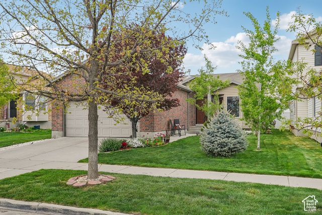 8564 S LAUREL OAK DR, West Jordan UT 84088