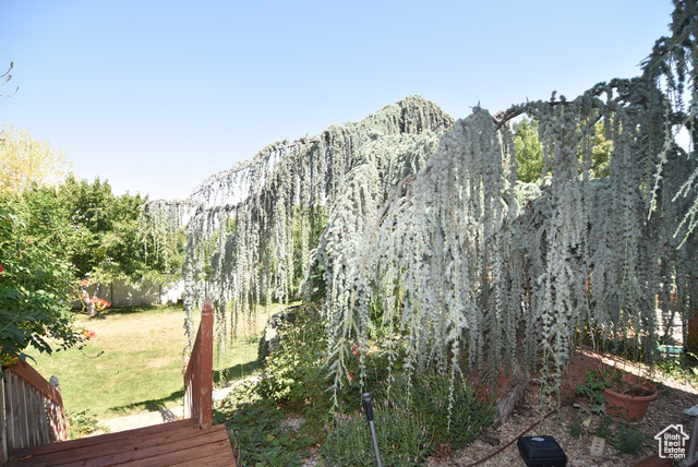 Photo 59 for MLS #2082492 at 183 E Ama Fille Ln