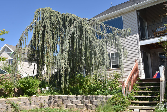 Photo 65 for MLS #2082492 at 183 E Ama Fille Ln