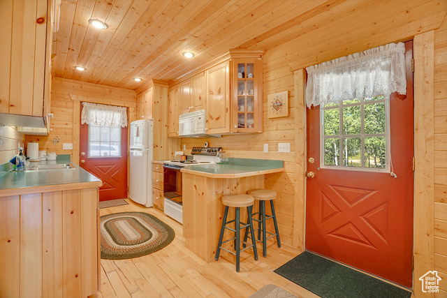 Photo 10 for MLS #2082517 at 4571 Fawn Way